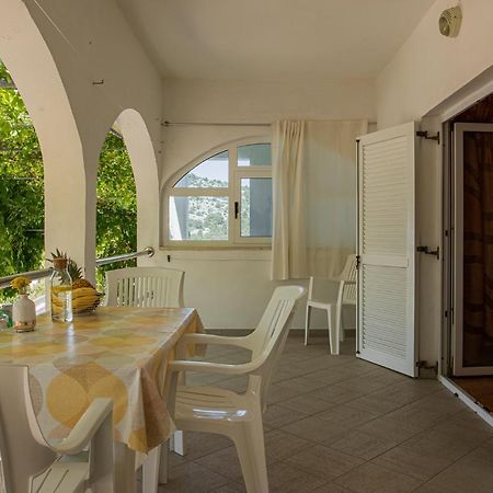 Apartmani Mares Ražanj Zewnętrze zdjęcie